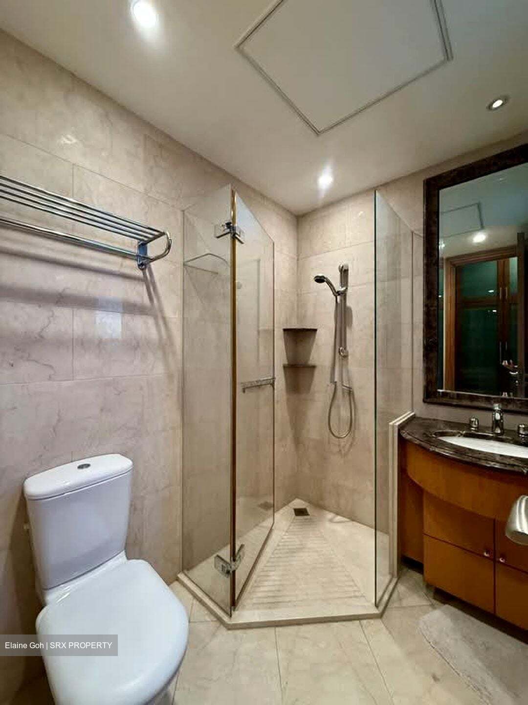 Ardmore Park (D10), Condominium #555344251